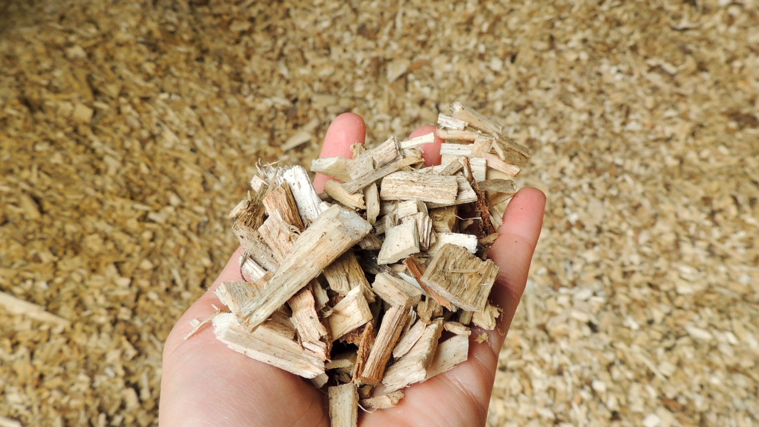 Transformation et valorisation forestière Coopérative forestière Ferland-Boilleau