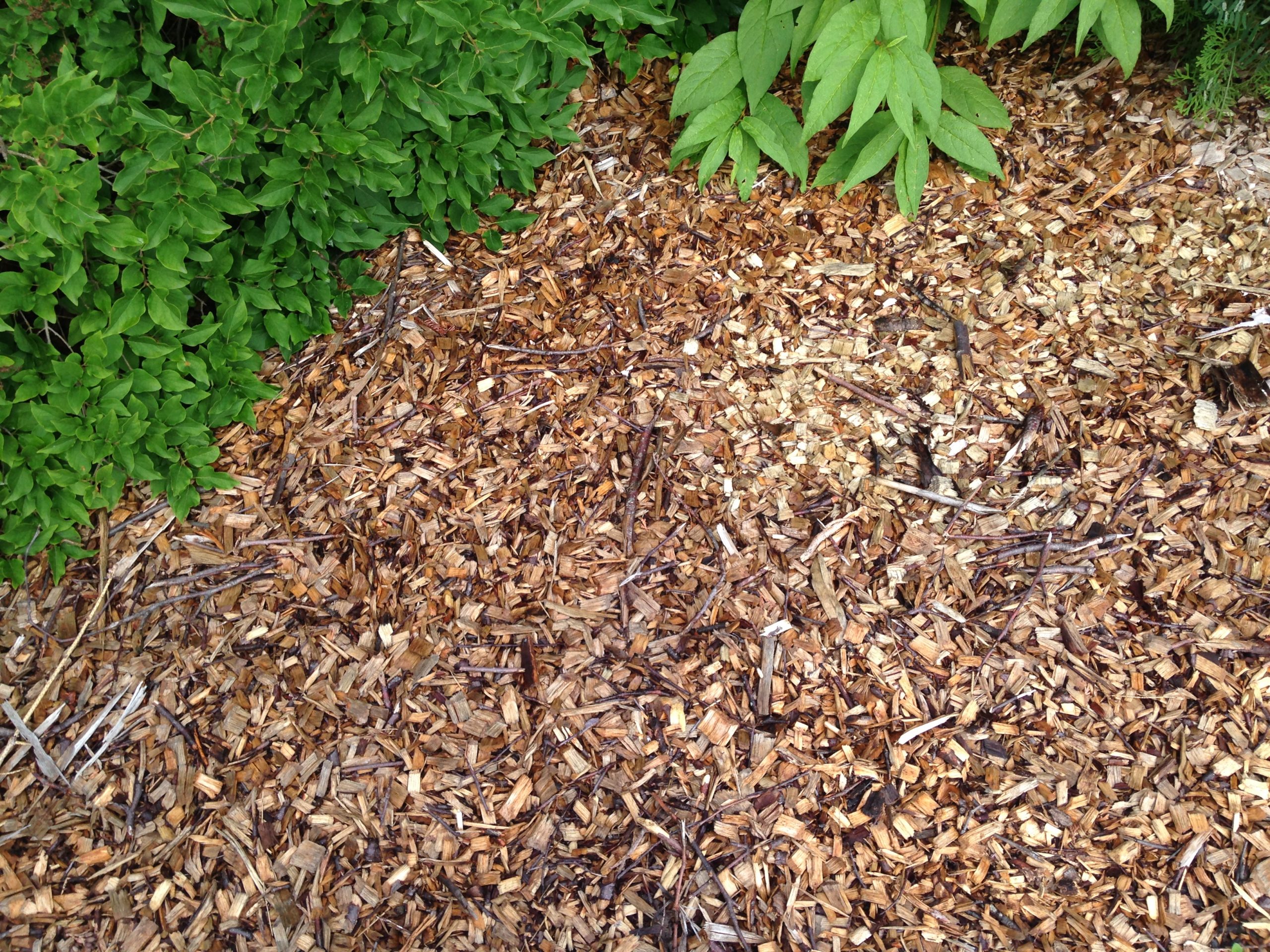 Transformation et valorisation forestière Coopérative forestière Ferland-Boilleau