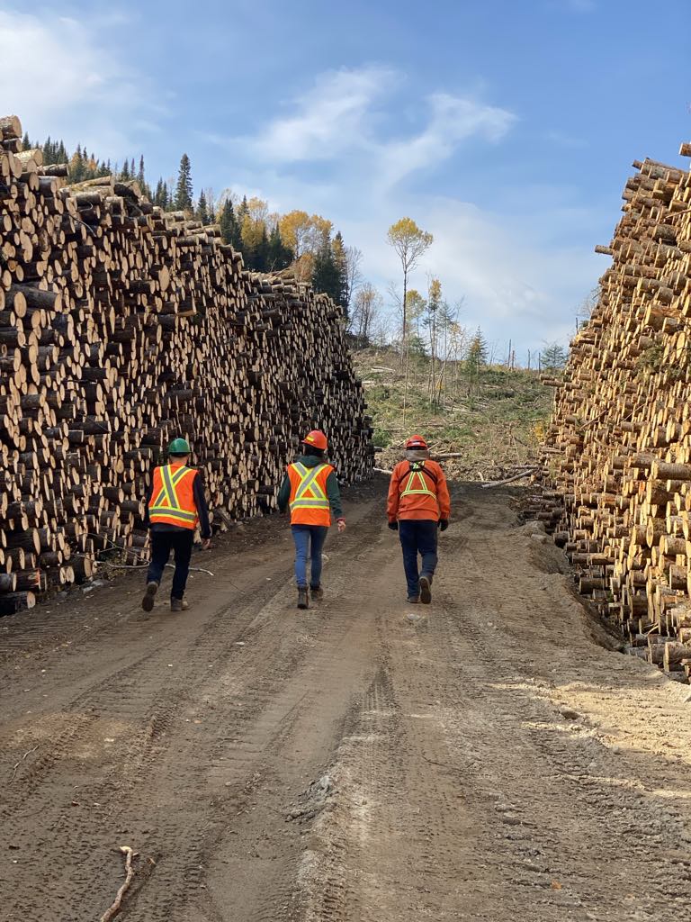Superviseur opérations forestières Coopérative forestière Ferland-Boilleau