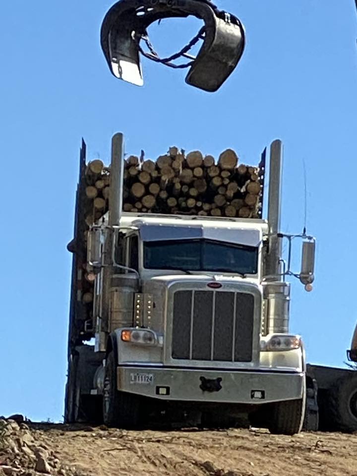 Superviseur(e) au transport et voirie Coopérative forestière Ferland-Boilleau